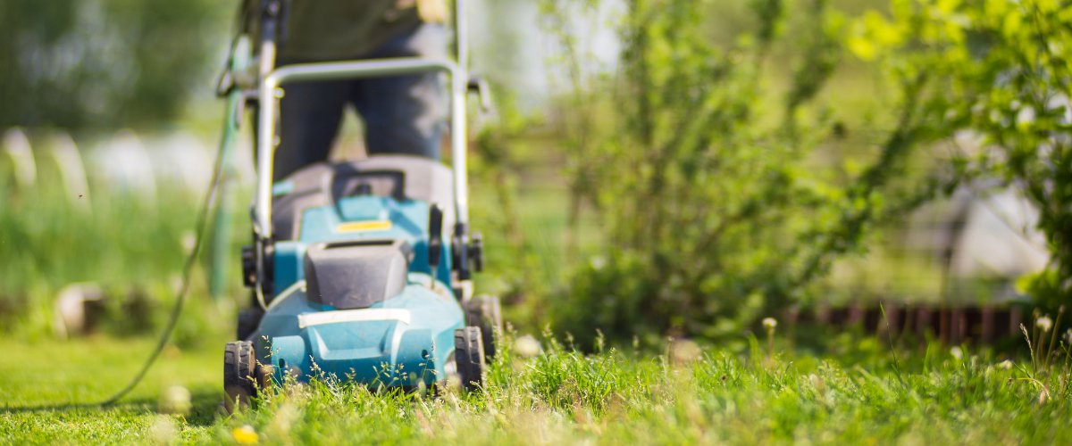 low lawn mower mowing grass